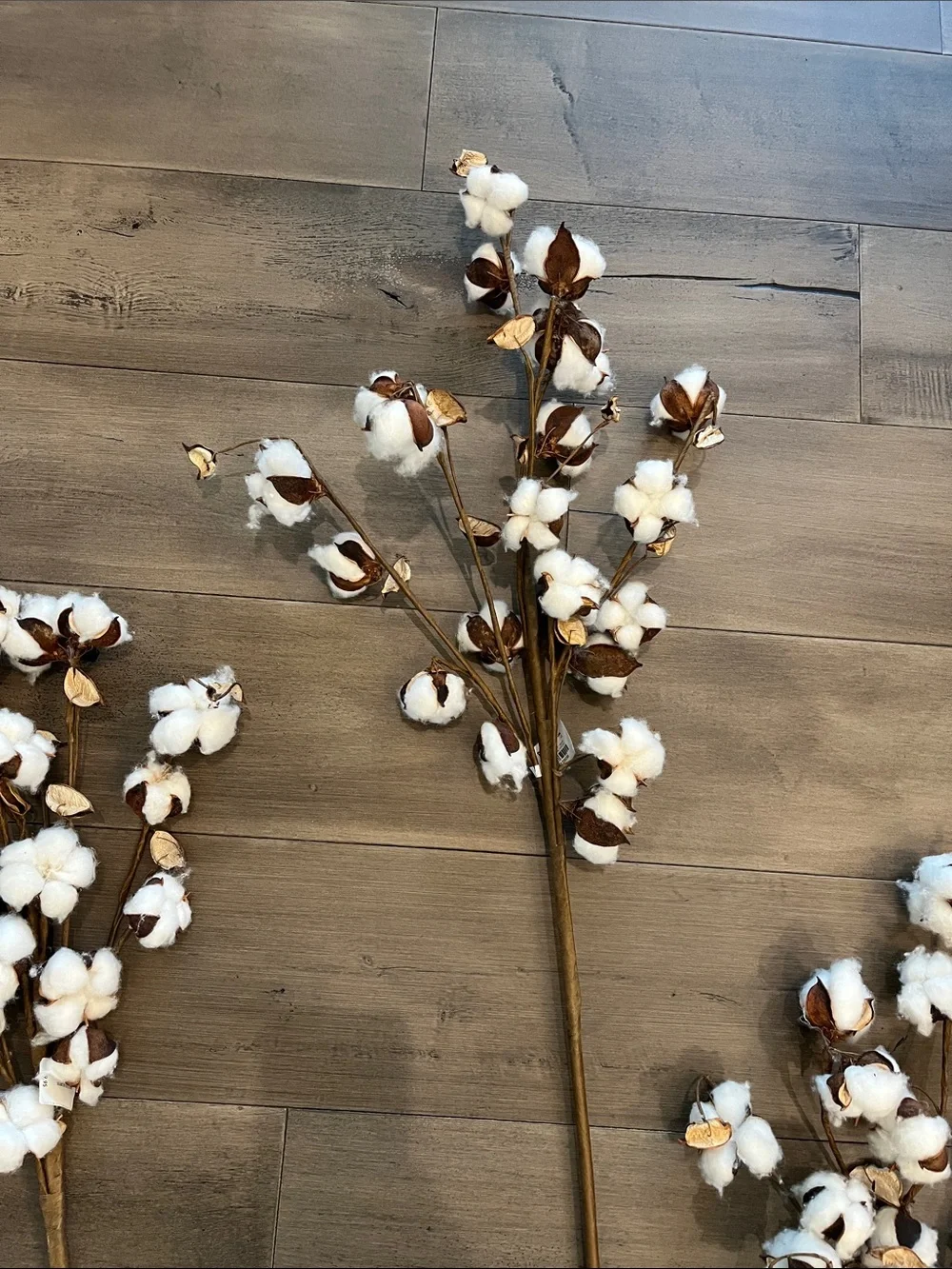 NEW Set of 4 Pier 1 Cotton Stem Spray - White and Brown Floral Accent